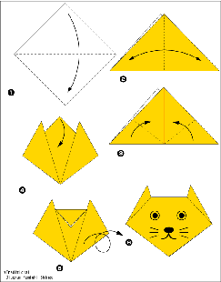 cat-shema.gif