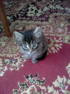 IMG0004A.jpg