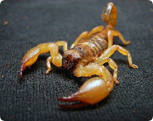 398316838-edde5899f7.jpg